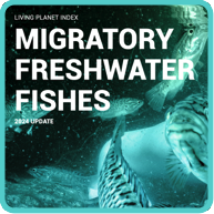 LPI Migratory freshwater fishes