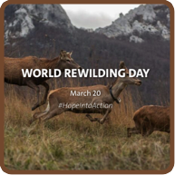 World Rewilding Day