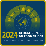 2024 Global Report on Food Crises