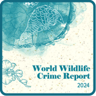 World Wildlife Crime Report 2024